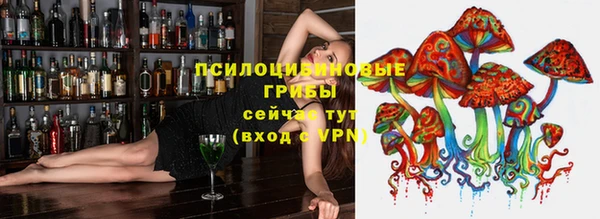 прущая мука Армянск
